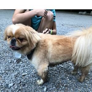 Meet your Posher, Karen